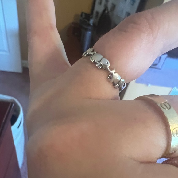 Elephant ring - Picture 2 of 3